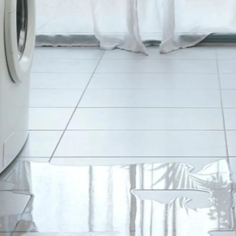 Appliance Leak Cleanup in Wilmington, DE