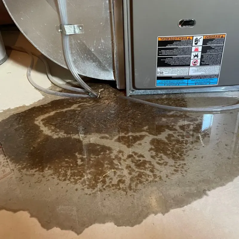 Pipe Burst and Leak Restoration in Wilmington, DE